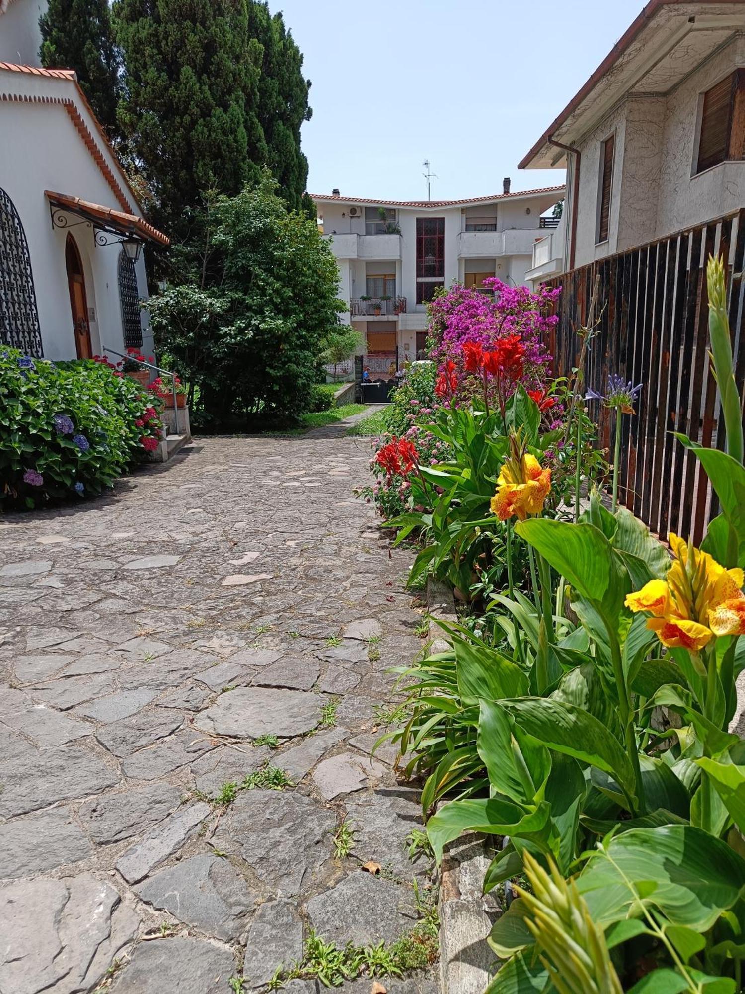 토레델그레코 Casa Olivella 아파트 외부 사진